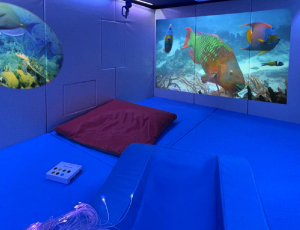 Multi Sensory Room